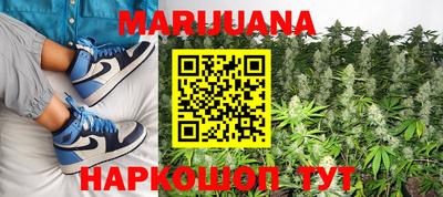 ешки Новодвинск