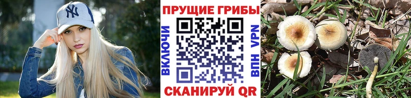 Галлюциногенные грибы мухоморы Симферополь