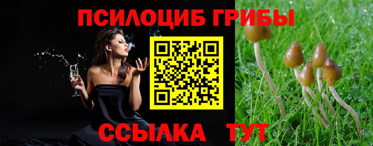 Галлюциногенные грибы Psilocybe Симферополь